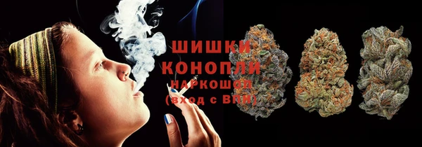 дживик Арсеньев