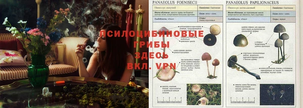 мяу мяу мука Армянск